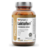 d140fca251e44d1cba30852d07e76c36